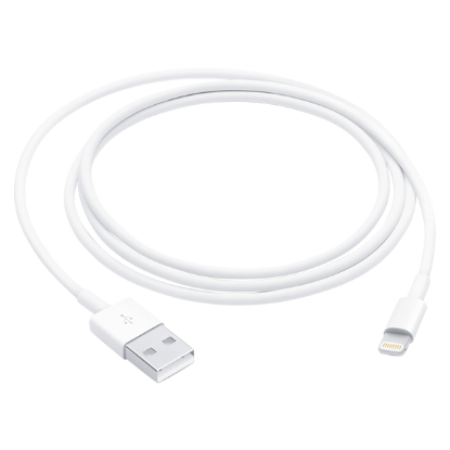 Picture of Apple Lightning to USB Cable (1 m)
