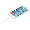 Picture of Apple Lightning to USB Cable (1 m)