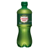 Picture of Canada Dry Ginger Ale 12pk 12oz Can